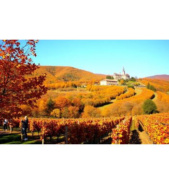 Тур «Осень в Грузии» из Узбекистана — лучшее время для путешествия